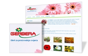 Gerbera